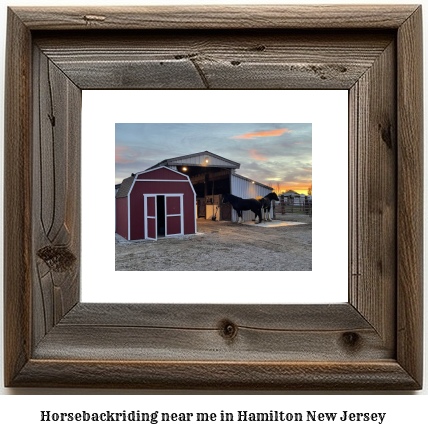 horseback riding near me in Hamilton, New Jersey